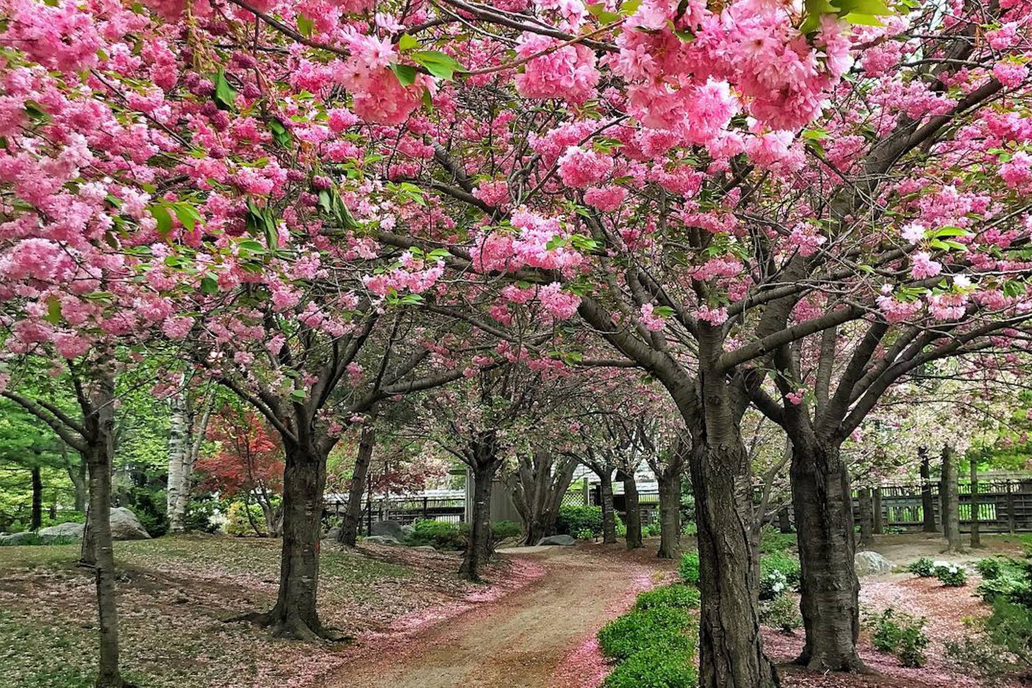 Kariya Park