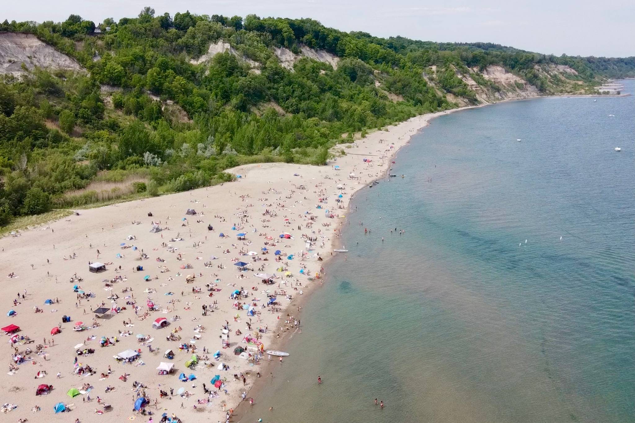 Bluffers Park Weather