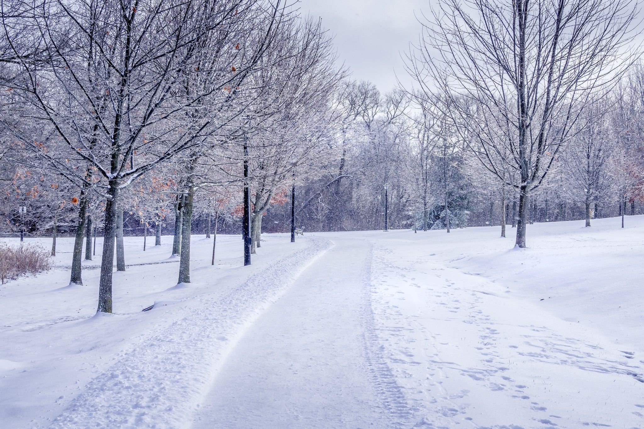 その他 Snow : first snow of the season The First Snow of Winter: Amazon.ca: Graham Ralph: Movies