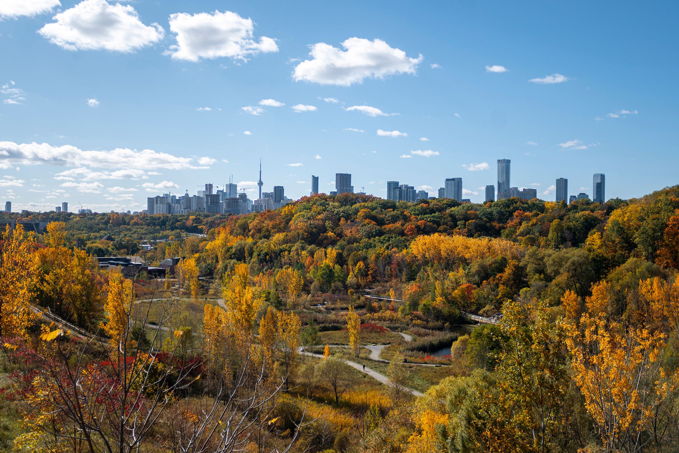 parks-and-trails-in-toronto-40-essential-nature-escapes-for-walking