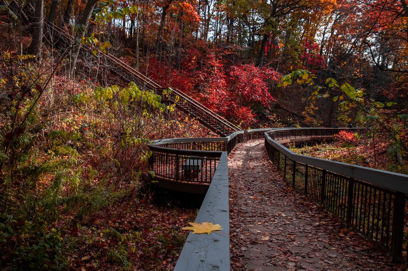 Parks And Trails In Toronto 40 Essential Nature Escapes For Walking parks-and-trails-in-toronto-40-essential-nature-escapes-for-walking
