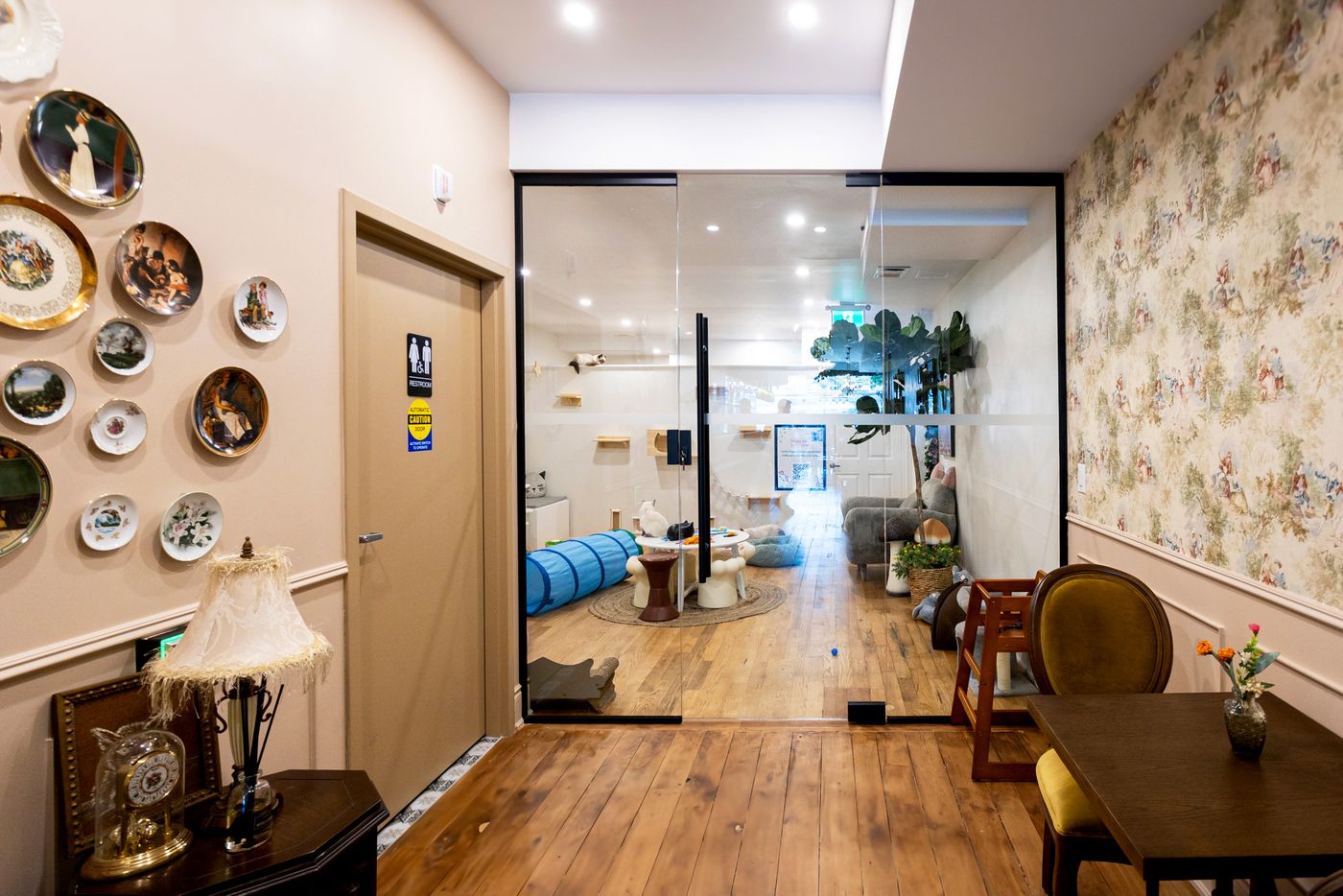 Vintage Cat Cafe Toronto