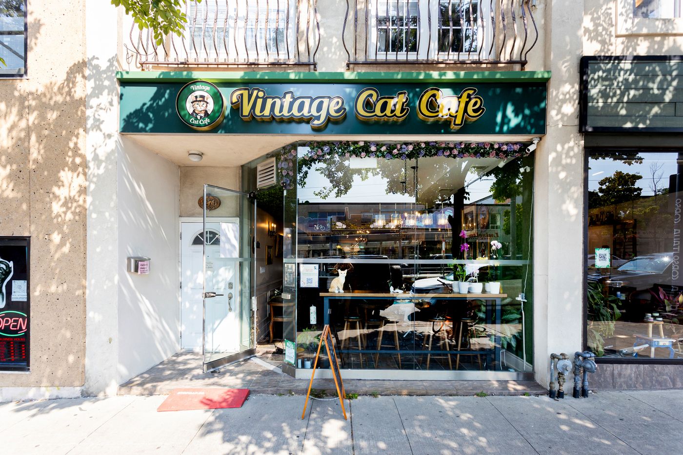 Vintage Cat Cafe Toronto