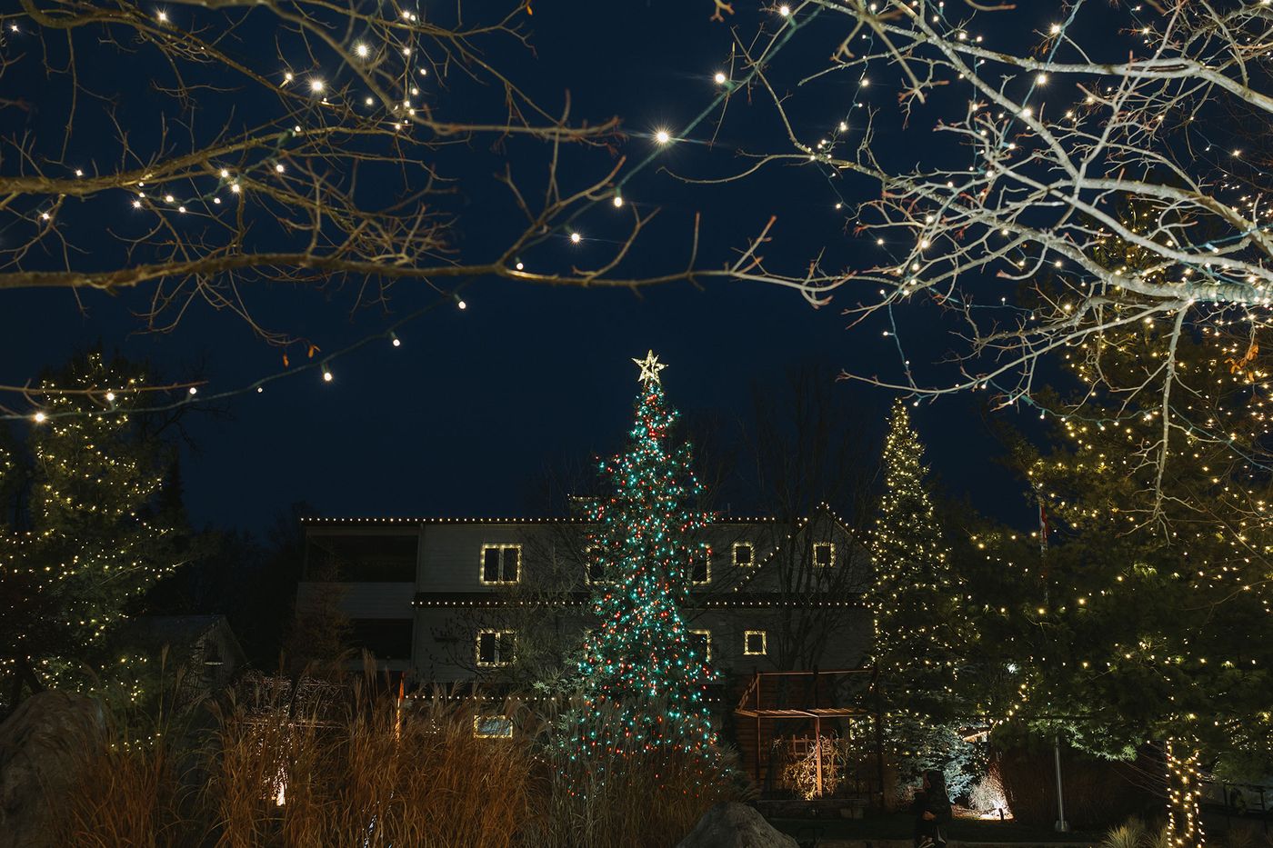 elora christmas market